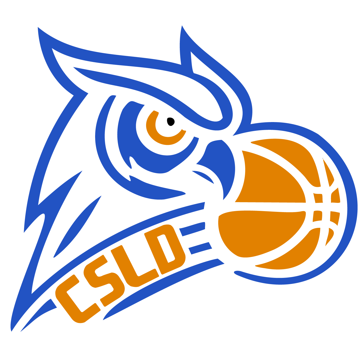 Refonte du Logo - Équipe de Basket de Dijon